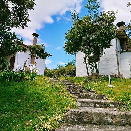 Jardín Colibrí Guatavita Exterior foto