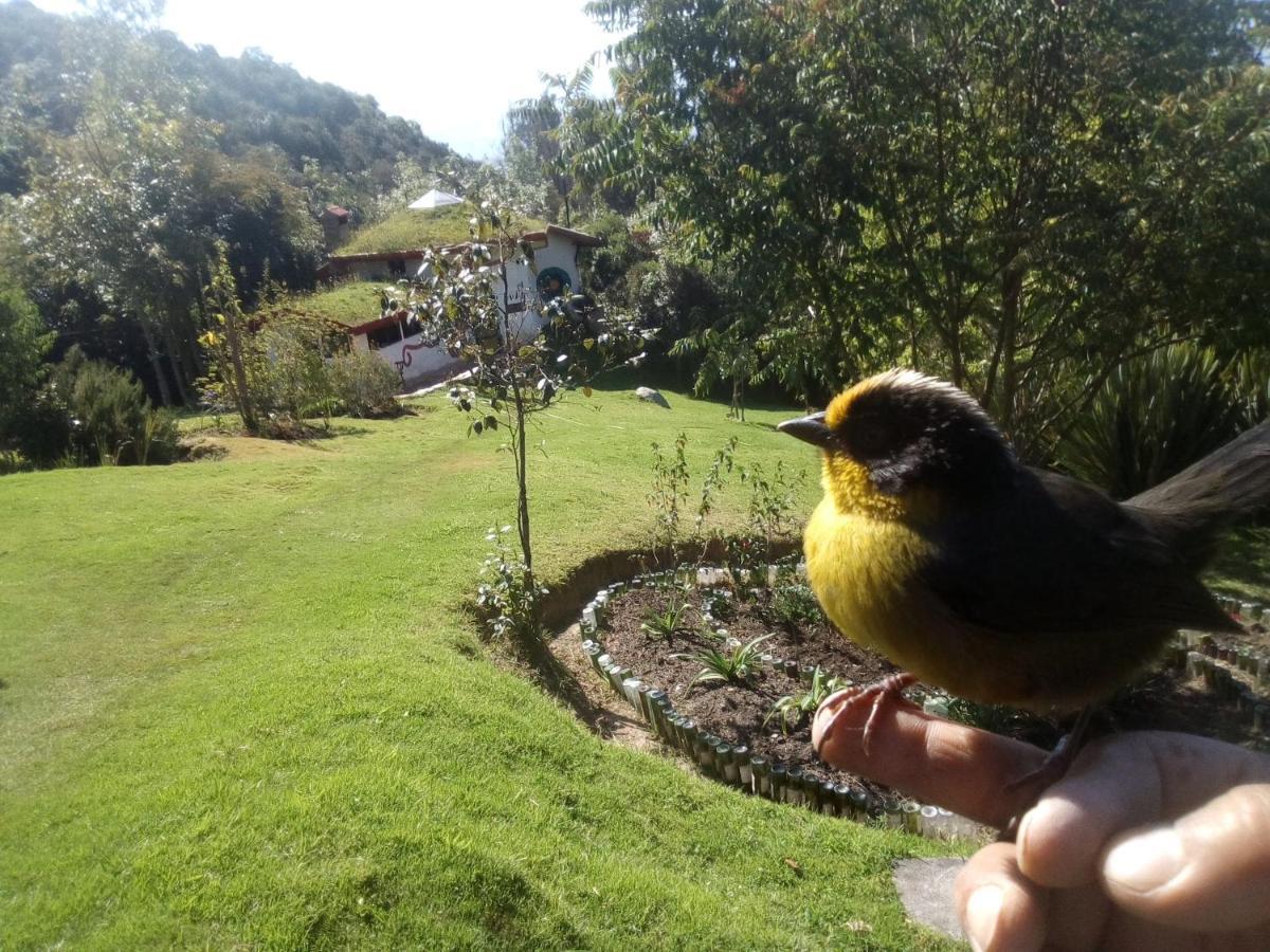 Jardín Colibrí Guatavita Exterior foto