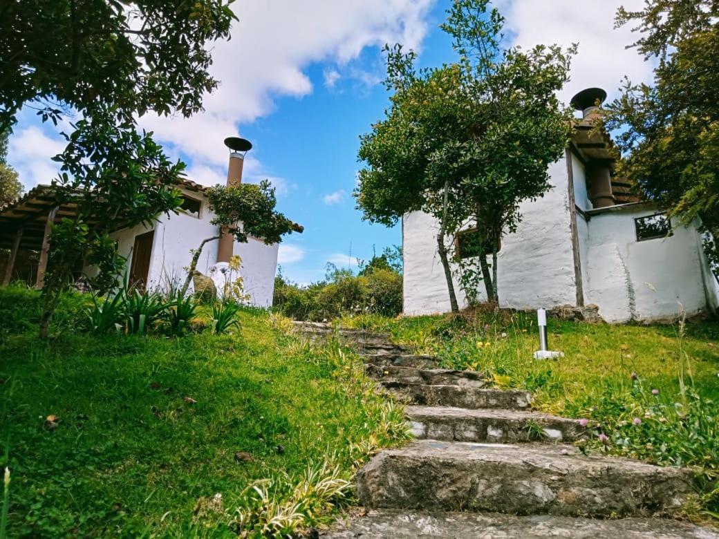 Jardín Colibrí Guatavita Exterior foto