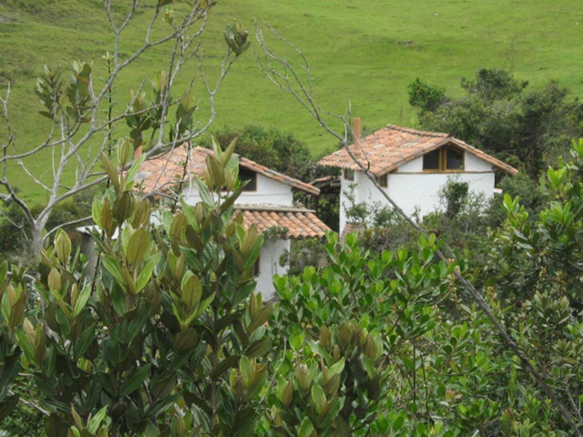 Jardín Colibrí Guatavita Exterior foto