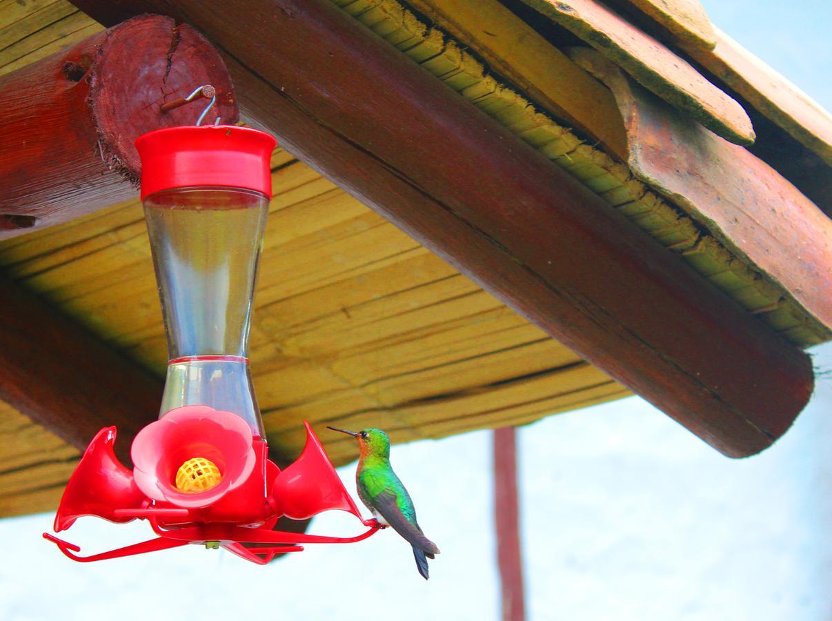 Jardín Colibrí Guatavita Exterior foto